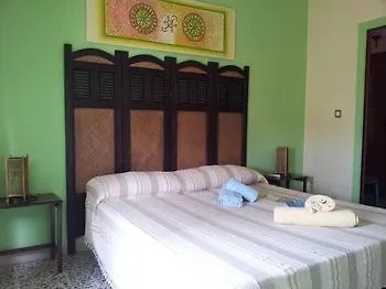 Jamba Alghero